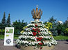 Лучшей на флористическом фестивале «Белый Цветок» стала композиция «Царская корона»