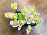 Мастер-классы по изготовлению белых цветов в Екатеринбурге продолжаются