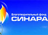 Восемь проектов некоммерческих организаций Свердловской области выиграли гранты БФ «Синара»