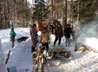 Владимирские следопыты совершили первый зимний поход в лес с ночевкой