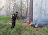 Тушить лесные пожары помогают казаки хутора «Изумрудный»
