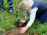 Участники всероссийской акции «Сад Победы» высадили в Нижнем Тагиле аллею плодовых деревьев