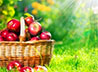 В День Преображения Господня в Ново-Тихвинском монастыре всех угостят яблоками