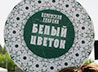Каменск-Уральский готовится к благотворительной акции «Белый цветок»