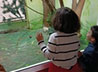 Центр защиты семьи «Колыбель» организовал для ребят поход в зоопарк