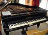 Презентация фортепиано фирмы Беккер пройдет 4 ноября в монастыре на Ганиной Яме