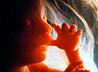 Спасский храм организовал в Туринской районной больнице беседы о вреде аборта
