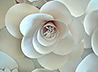 К фестивалю «Дни Белого Цветка» добровольцы освоят технологии изготовления цветов